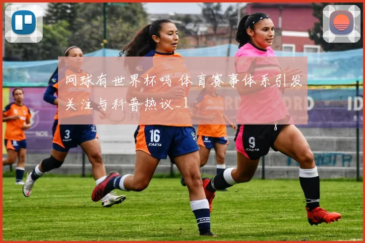 网球有世界杯吗 体育赛事体系引发关注与科普热议_1