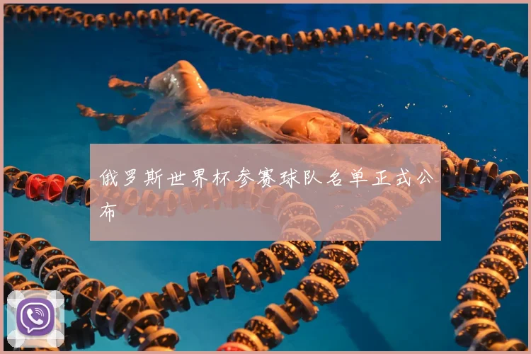 俄罗斯世界杯参赛球队名单正式公布