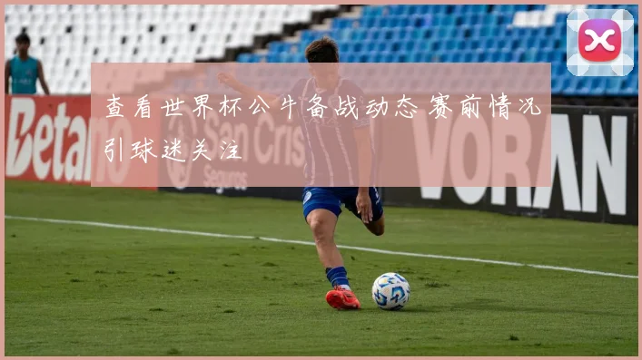 查看世界杯公牛备战动态 赛前情况引球迷关注