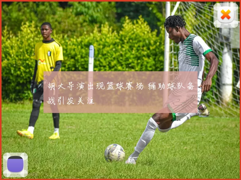 胡大导演出现篮球赛场 辅助球队备战引发关注